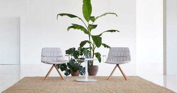 Maarten Lounge-297320