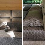 Cama New Bond-298822