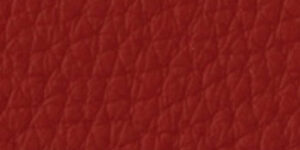 Piel Loke 7170 +2.411,53 €