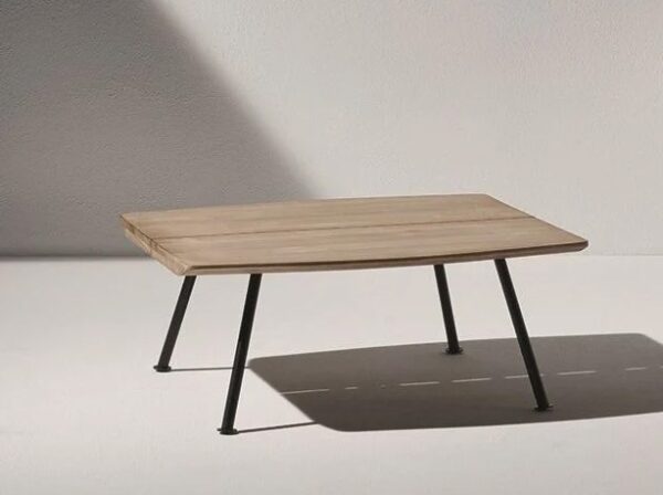 Mesa Agave -302022