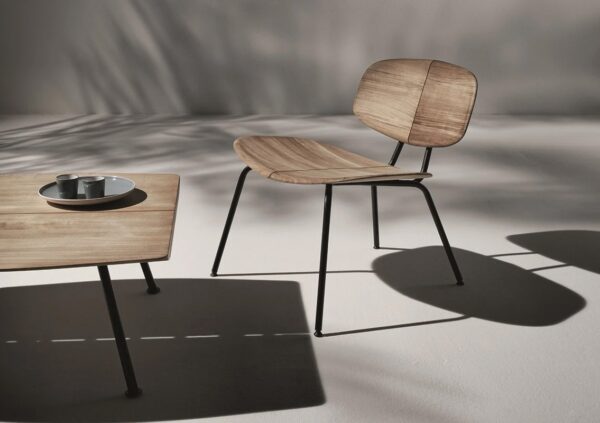 Mesa Agave -302025