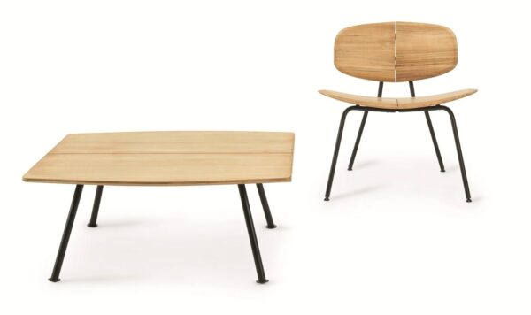 Mesa Agave -302027