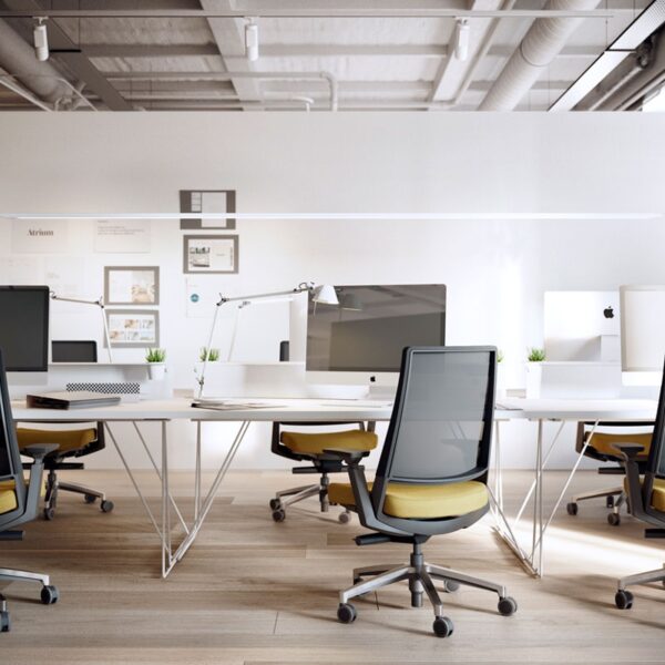 Silla Kineo-307452