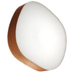 21 Cerezo Natural 580,80 €