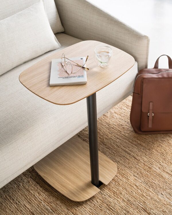 Mesa Meseta-317563