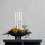 Plato Duck-322030