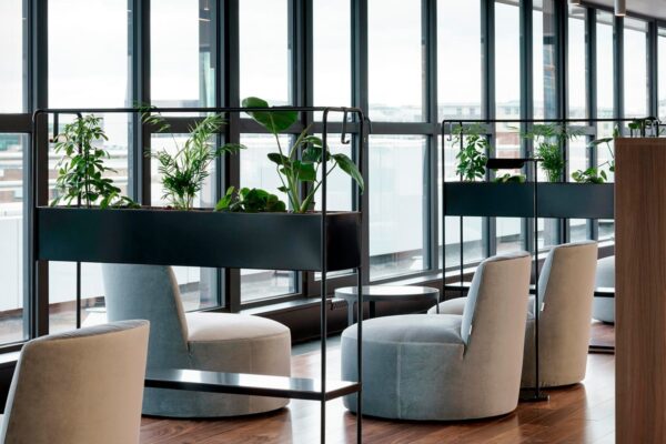 Sillón Baobab-351472