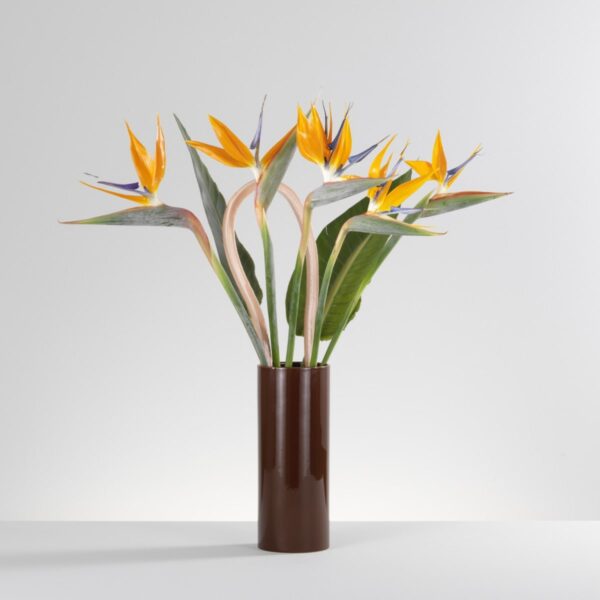 Florero Découpage Boucle-331851