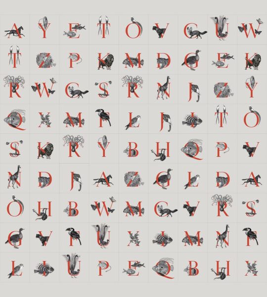 Animal Codex CWC-328635