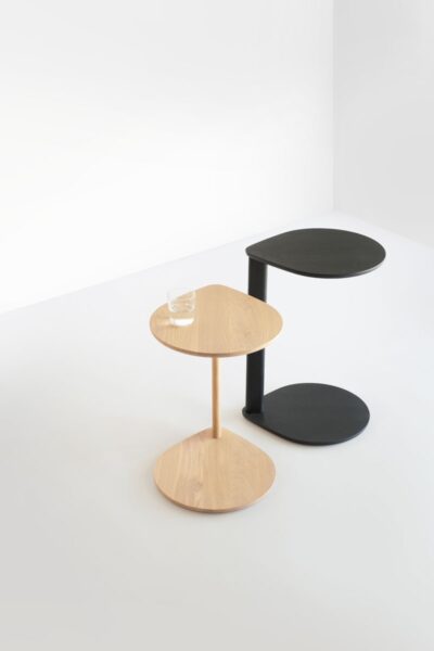 Mesa Compass-349691
