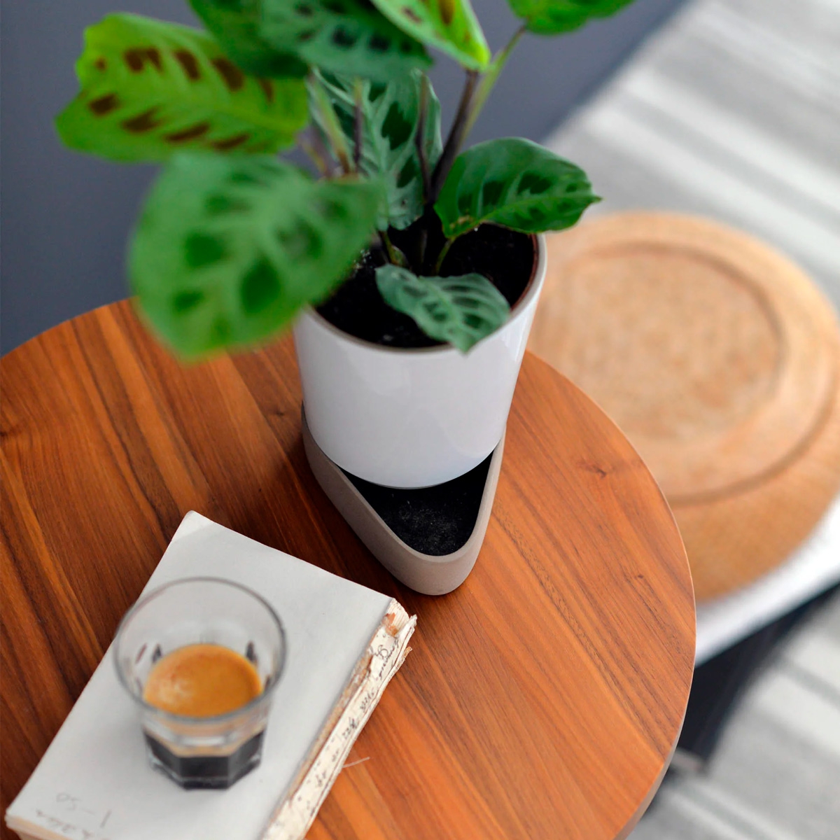 Maceta Sip-367570