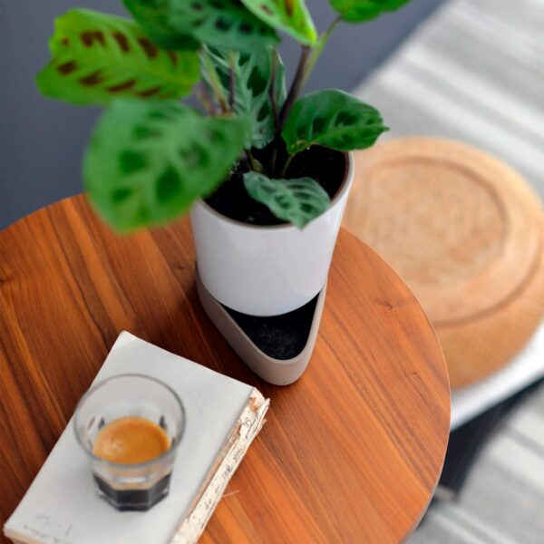 Maceta Sip Blanco ER-367653