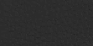 Piel Classic Negro +7.359,22 €