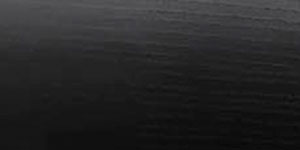 Roble Lacado Negro 1.751,54 €