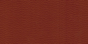 Piel Brown 2068 11.421,19 €