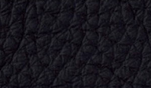 Piel Loke 7150 +964,37 €