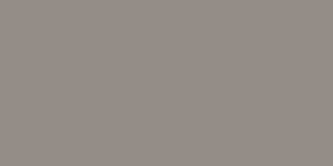 Gris 450,00 €