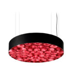 Negro Mate / 26 Rojo +2.746,70 €