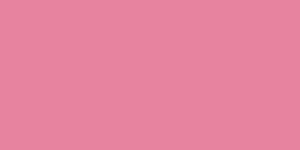 Rosa 5.203,00 €