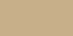 Beige 895,40 €