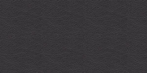 Piel Giada 101 +5.422,65 €