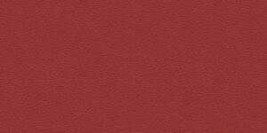 Piel Giada 161 +5.422,65 €