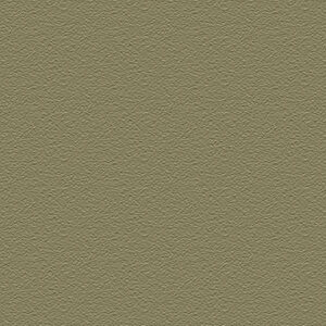 Verde Oliva P31 / Texturizado Mate