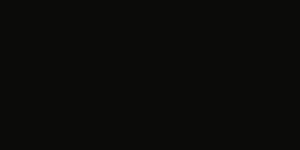 Negro 3.176,25 €