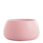 Rosa 160,00 €