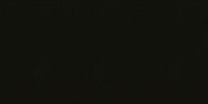 Negro Sepia 748,99 €