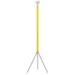 Amarillo 765,50 €