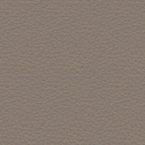 Piel 1 - 0154 +8.220,74 €