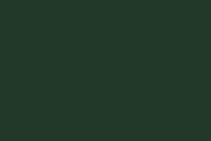 Verde Botella 6007 +9.140,00 €