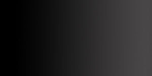 Negro 1.995,00 €