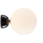 Negro +733,26 €