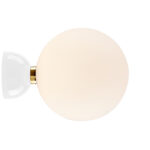 Blanco +733,26 €