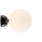 Negro +665,50 €