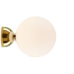 Dorado +834,90 €