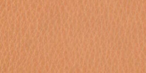 Piel Elmobaltique 43003 4.703,39 €