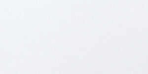 T21 Blanco Brillo +907,50 €