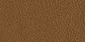 Piel Thor 307 +3.368,34 €