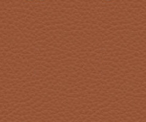 Piel L20 97 - Coñac +5.780,00 €