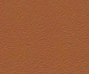 Piel Premium F - 97 Coñac +3.030,00 €