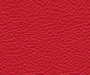 Piel L20 - 70 Rojo +5.780,00 €