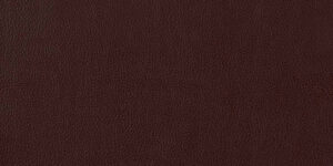 Piel Scozia 340 Bulgaro +4.970,68 €