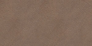 Piel Anilina 04 +9.450,10 €