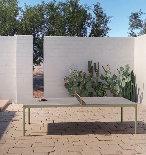 Mesa Ping Pong Play