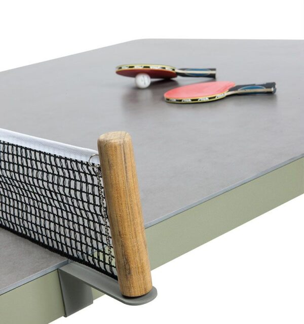 Mesa Ping Pong Play