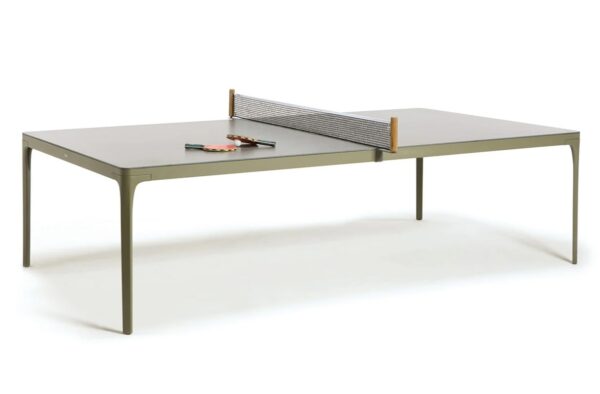 Mesa Ping Pong Play