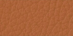 Piel Loke 7050 +4.176,74 €